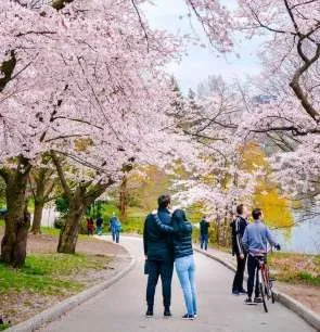 Primavera no Canadá